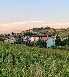 Cesena's fields and houses