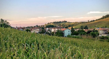 Cesena's fields and houses