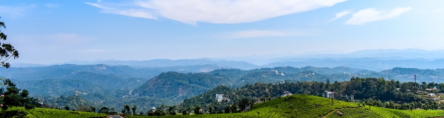 tea plantations in kerala