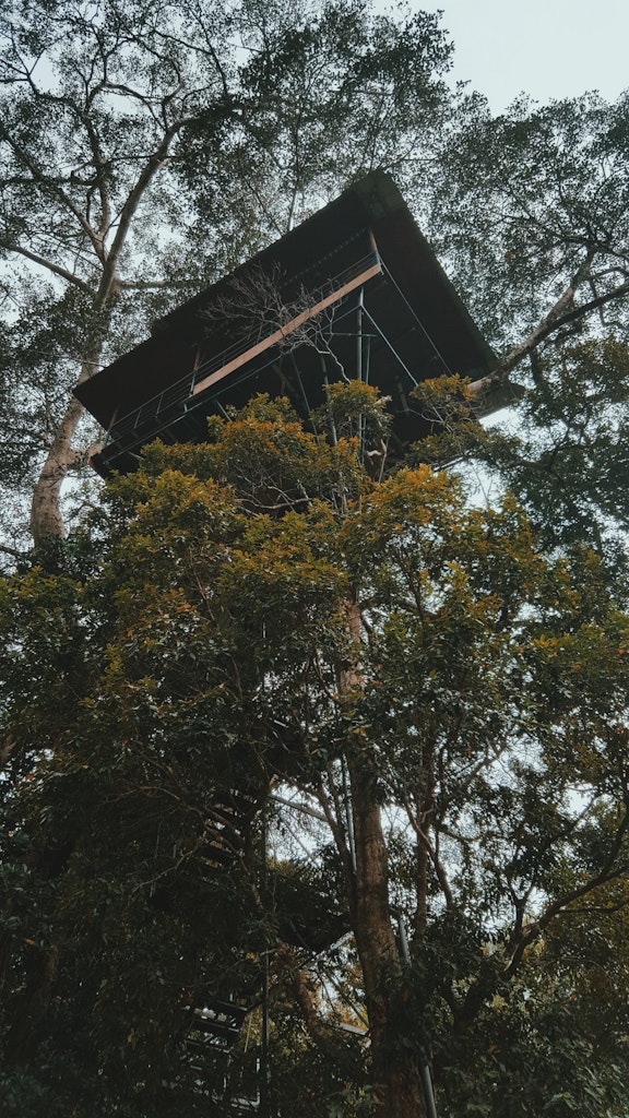 A picture of a treehouse that was taken in Wayanad in Kerala