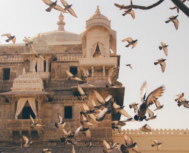 Best time to visit Rajasthan