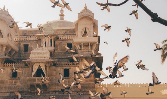 Best time to visit Rajasthan