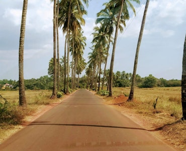 The iconic road of goa that appears in Movies.