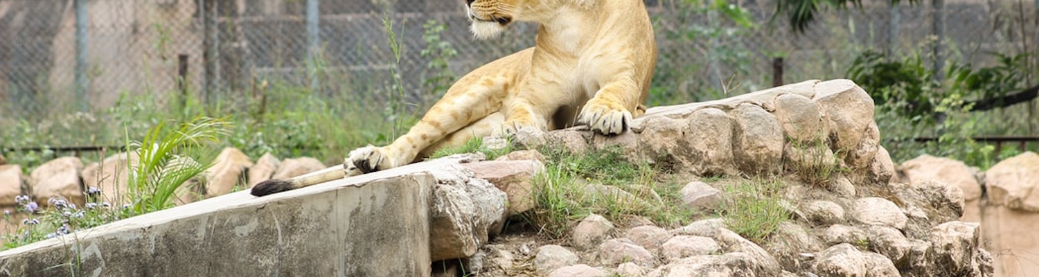 Kerala Zoo