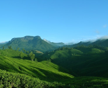 Trekking in Kerala - Munnar