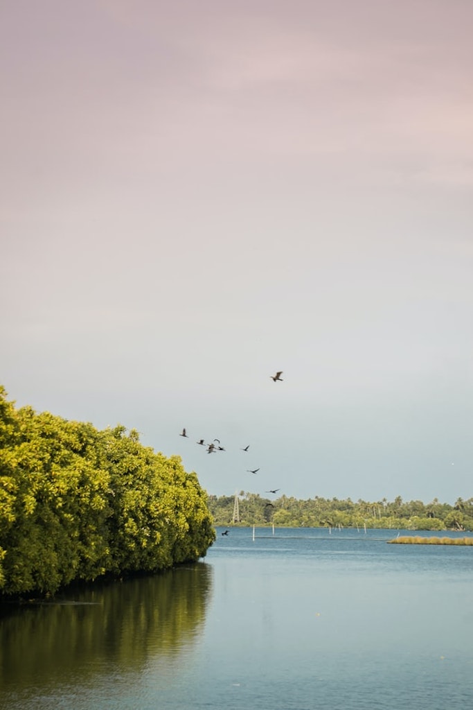 lake of Kerala in May
