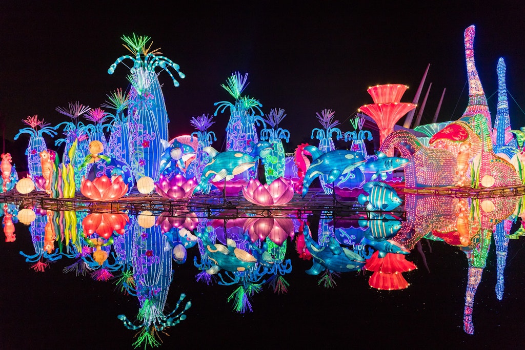 Dubai Garden Glow - Here's Why And When To Visit!