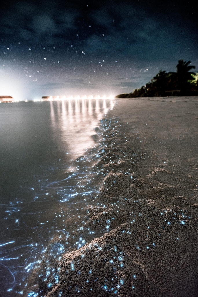 Bioluminescent beach in Maldives travel.
