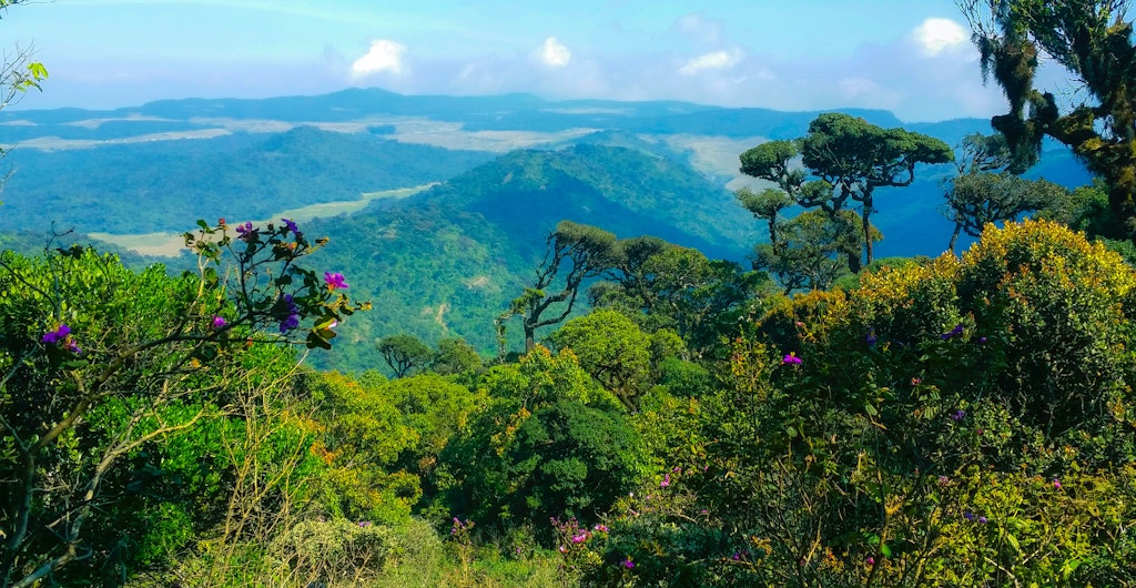 A scenic view in Horton Plains National Park
