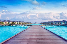 https://media.istockphoto.com/photos/beautiful-view-of-indian-ocean-from-tropical-island-maldives-picture-id541294138?k=6&m=541294138&s=612x612&w=0&h=70OKLQxAc3zaw3afrEWo1gKbUsssFuWXQ4spzKL5XiU=