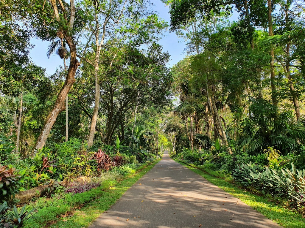 Garden in Sri Lanka