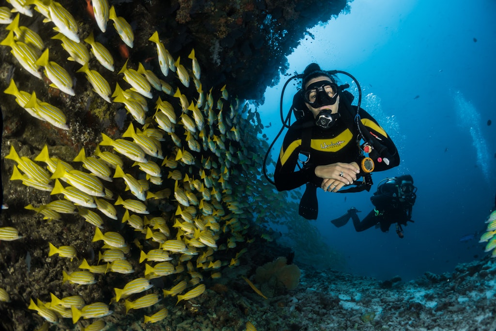 Scuba diving in the Maldives