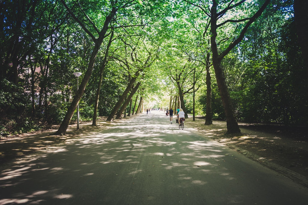 Walking at Vondelpark, Things to do in Amsterdam in May