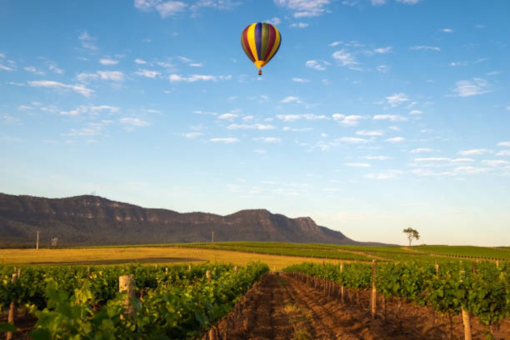The Hunter Valley, day trips from Sydney
