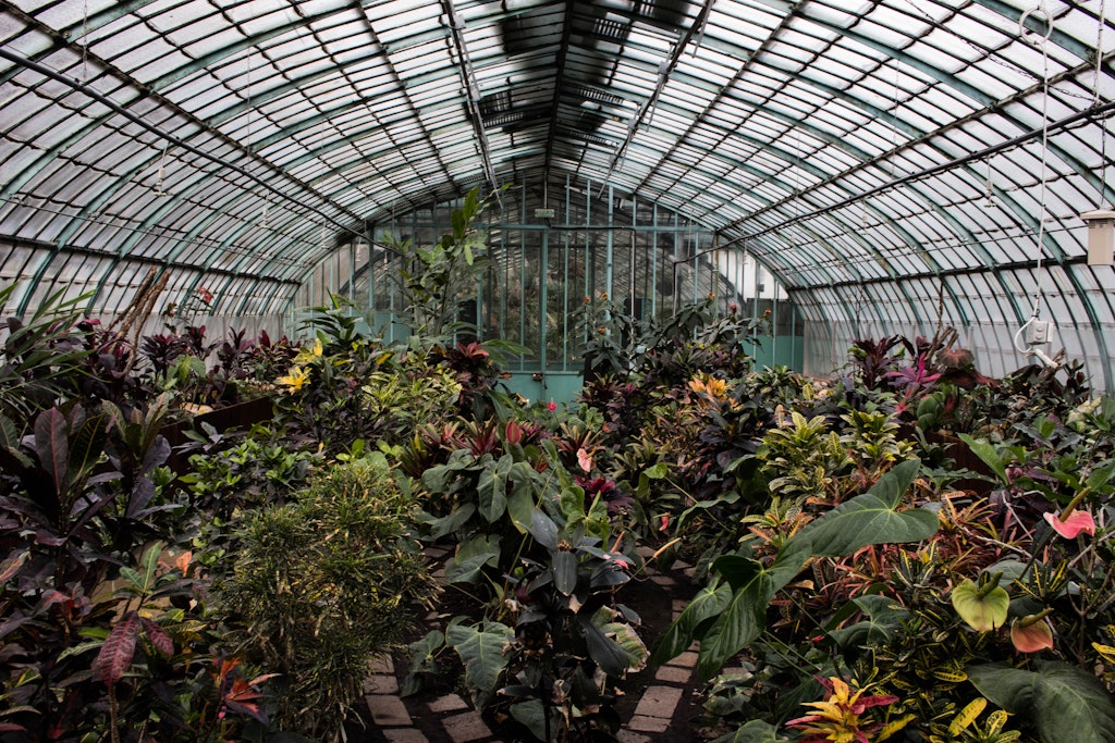Jardins et Serres d’Auteuil Greenhouse in Paris, France, Things to do in Paris in Winter 