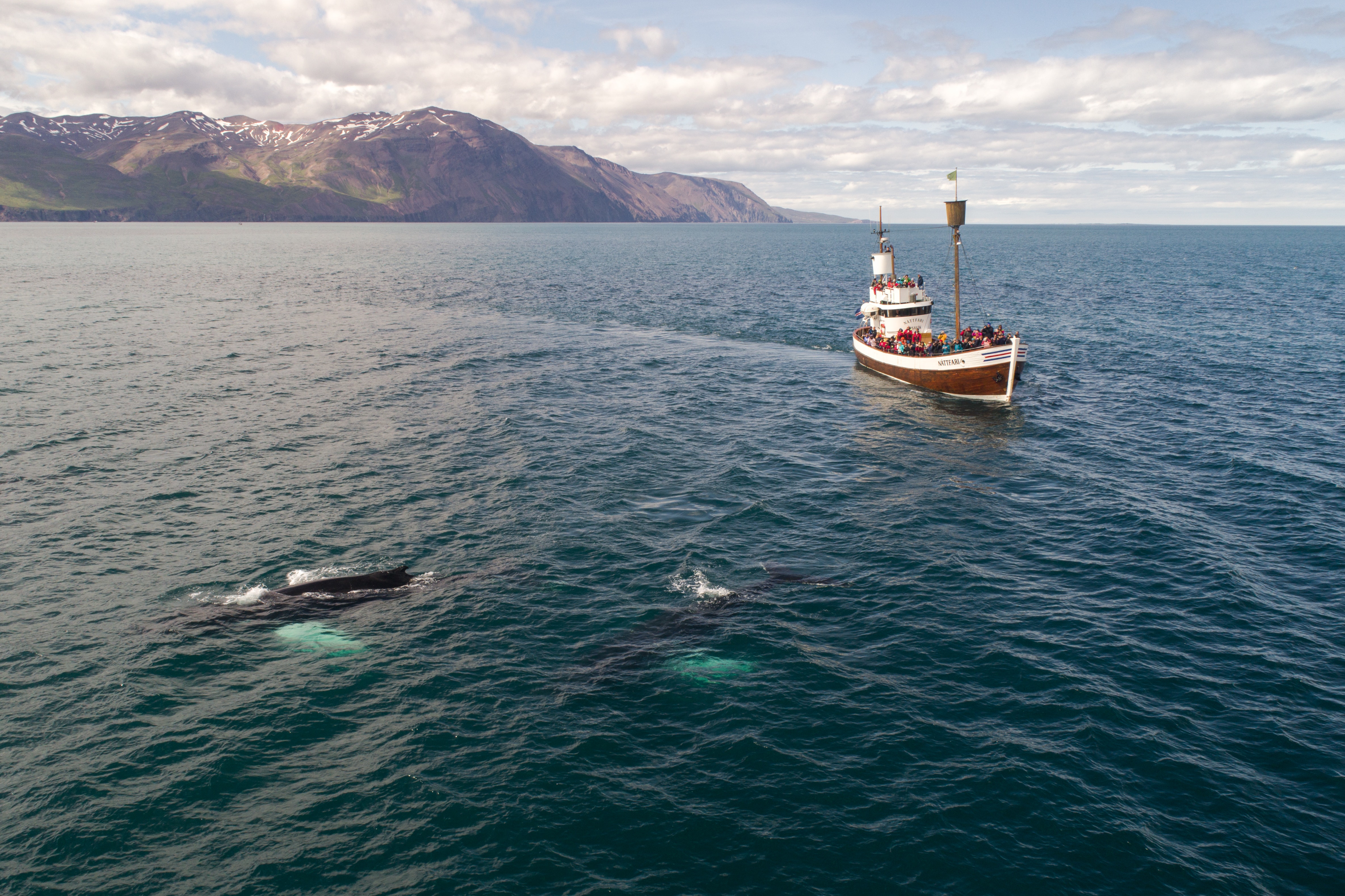 Katla whale watching
Things to do in Reykjavik

