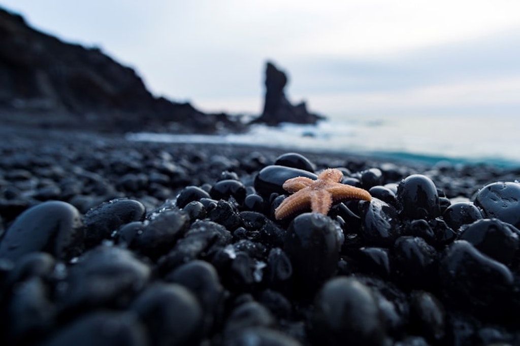 Black Sand Beach, Iceland ; Places to Visit in Iceland in July