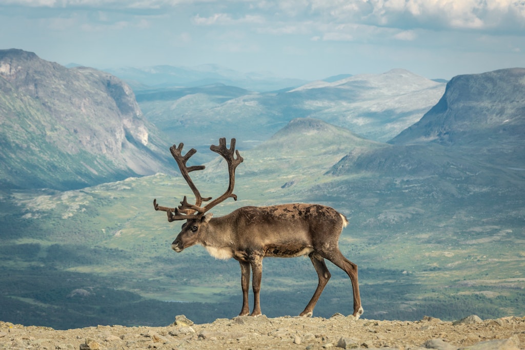 Jotunheimen National Park, Norway, National Parks to Visit in Europe