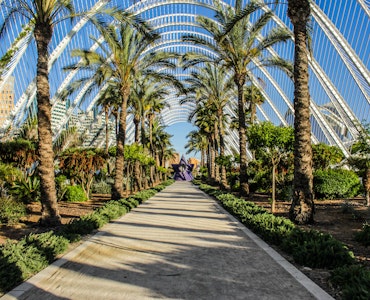 Things to do for free in Valencia