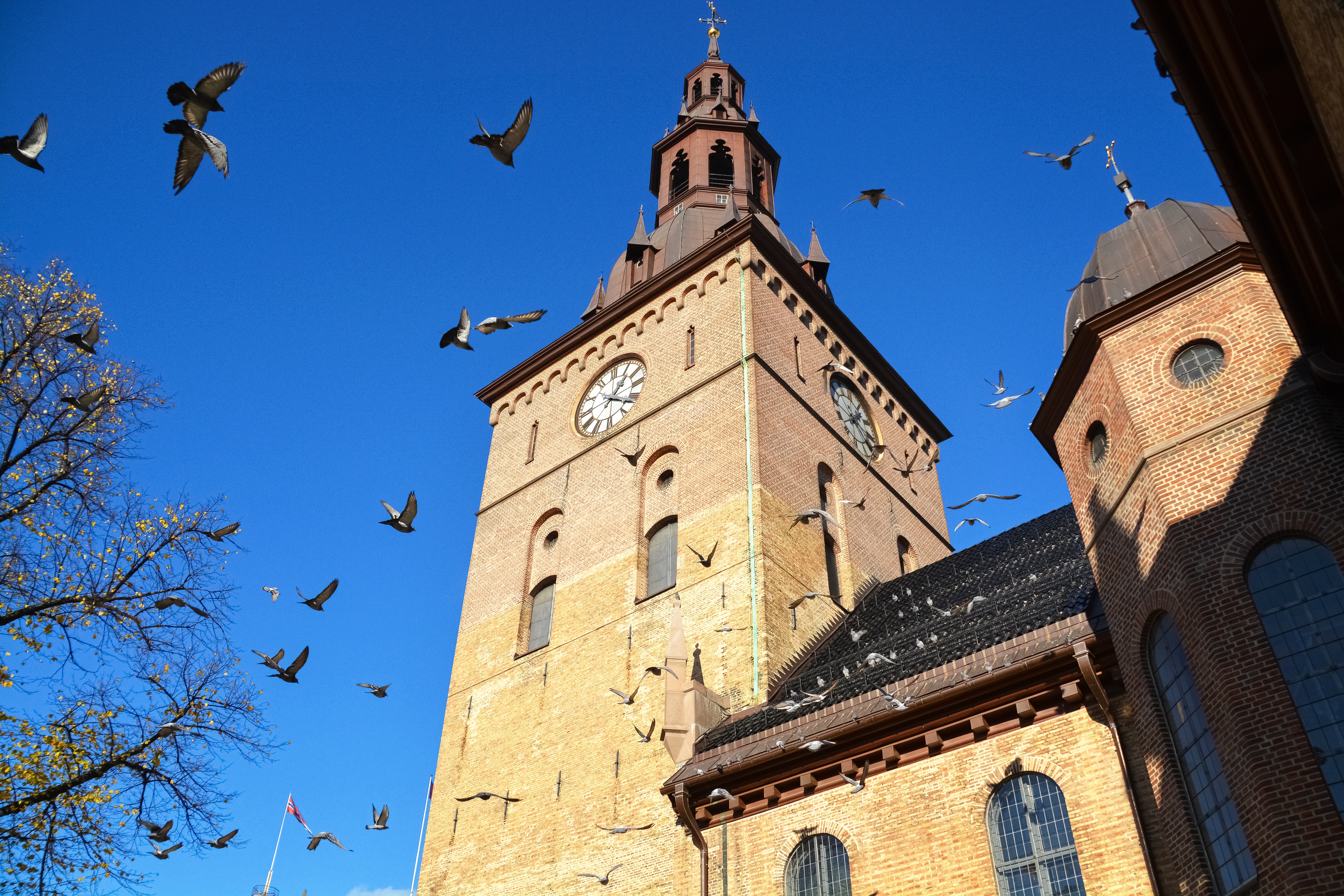 Oslo Cathedral, Free things to do in Oslo