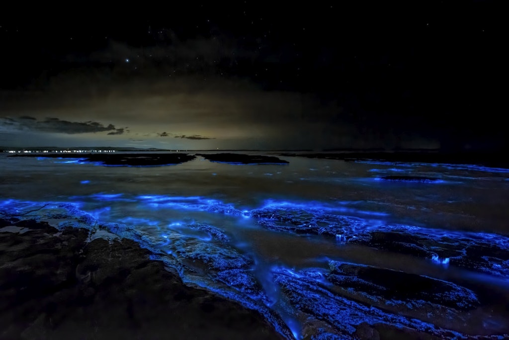 glowing beach in maldives