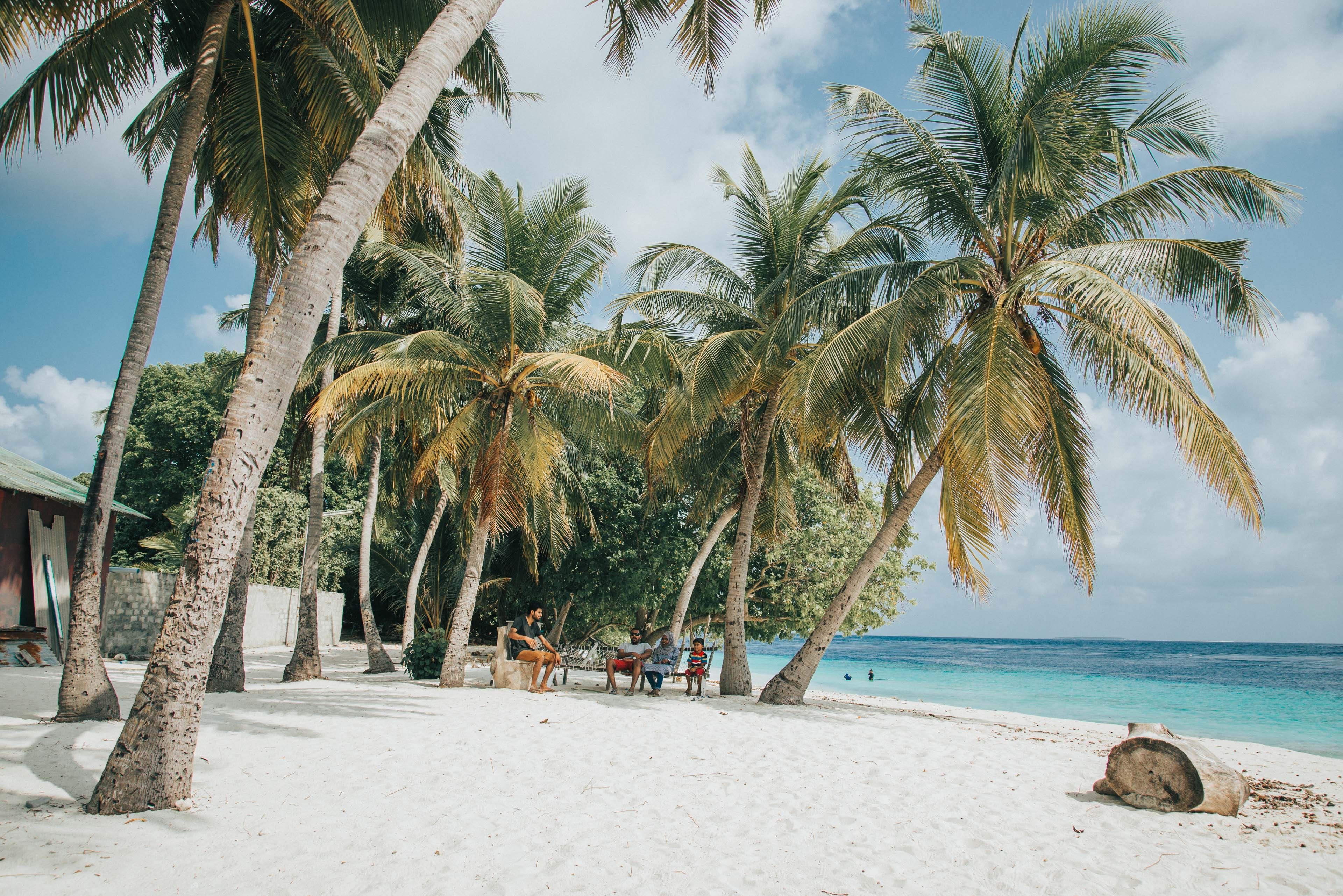 Coconut Tree Resort Goa