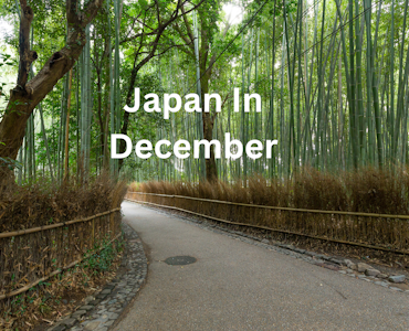 Japan in December