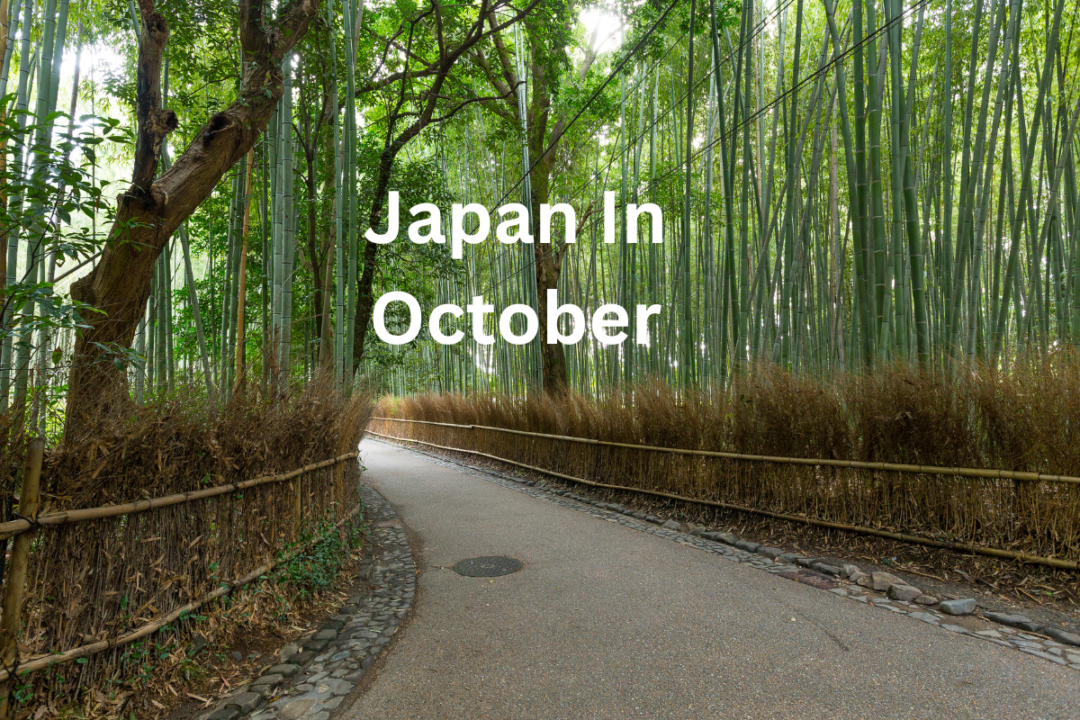 Japan In October 2024 Here Is What You Need To Know   Japan In October 